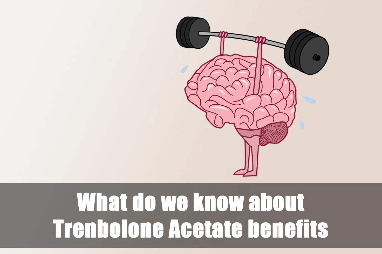 Trenbolone Acetate benefits