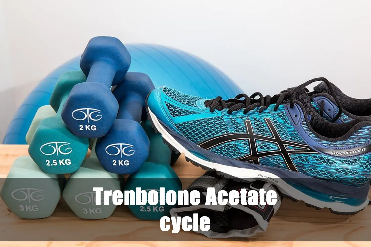 Trenbolone Acetate cycle